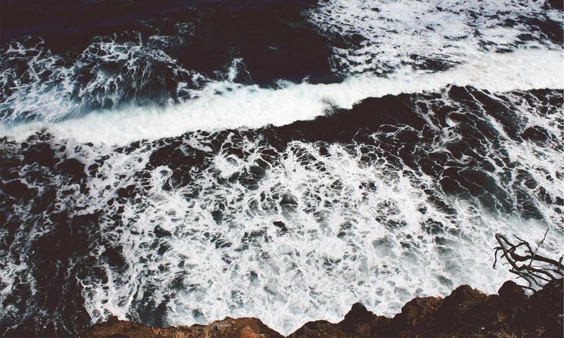 Thống kê tỷ lệ sử dụng công nghệ dinh dưỡng 2026