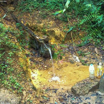 Bình giữ nhiệt vỏ tre