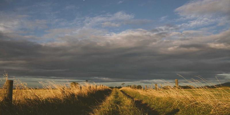 Chăm sóc phụ kiện hương đạo