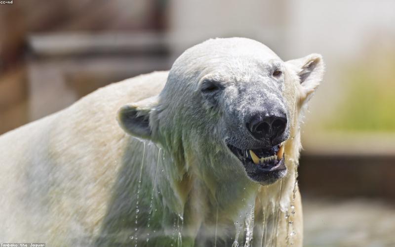 Chăm sóc da tinh tế