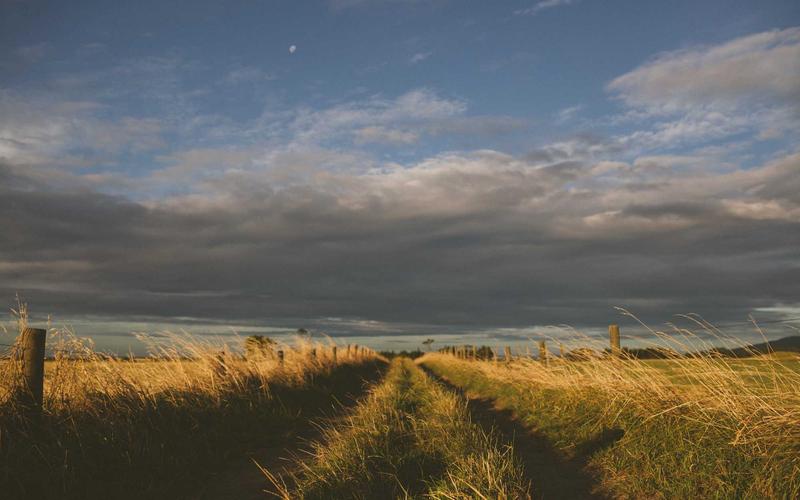 Chăm sóc da sau điều trị sẹo 2026