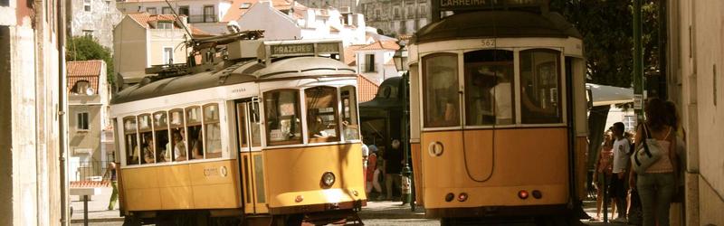 Footer Landscape 2026