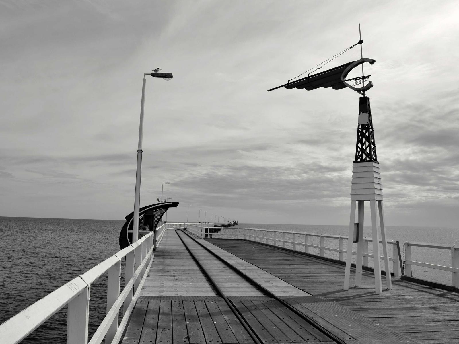 IoT Smart Bra Editorial 2026