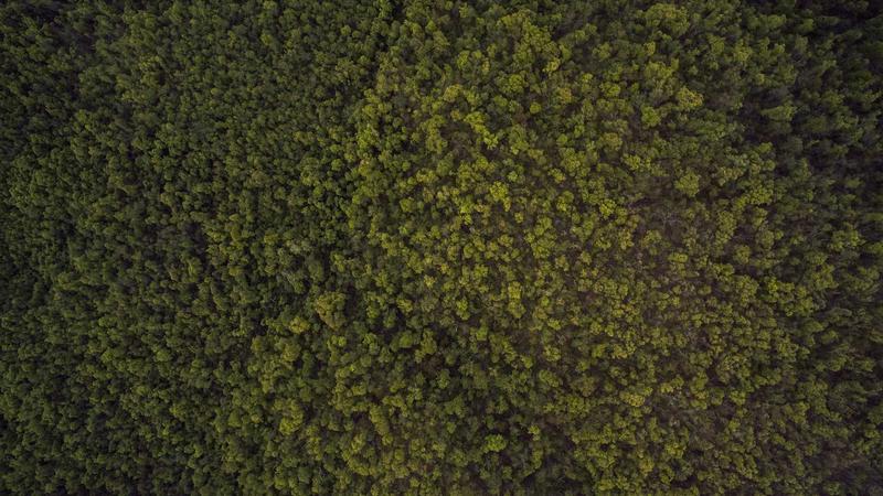 Công nghệ AI PC 2024