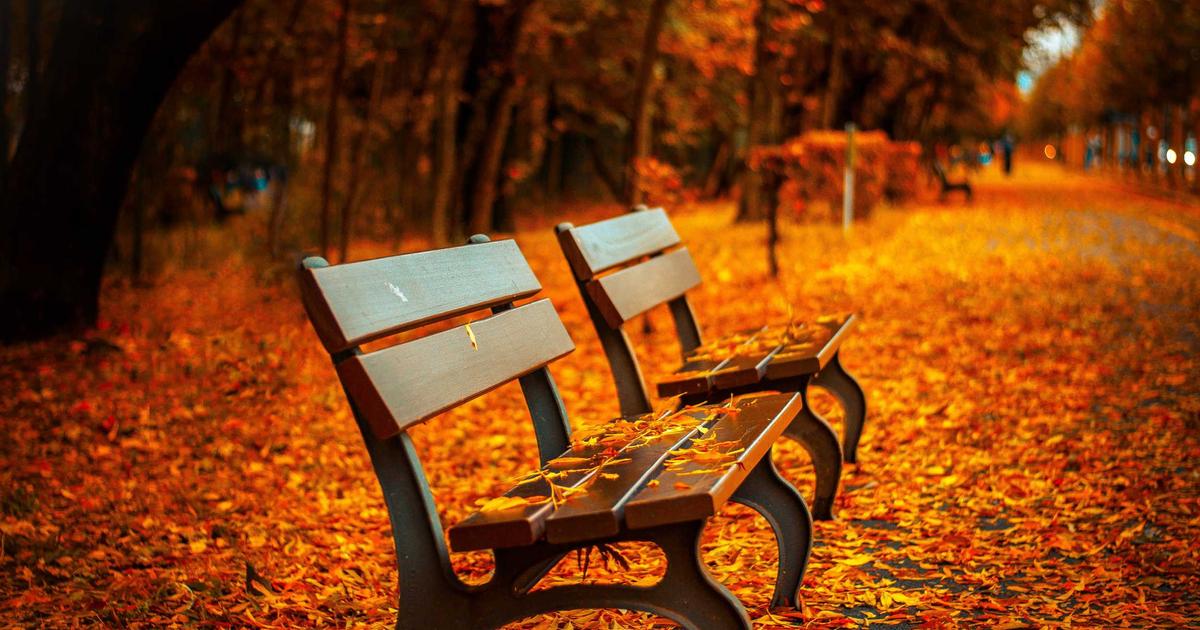 Cổ phiếu Nvidia tăng 15% sau báo cáo doanh thu kỷ lục: Thống trị 80% thị trường chip AI toàn cầu