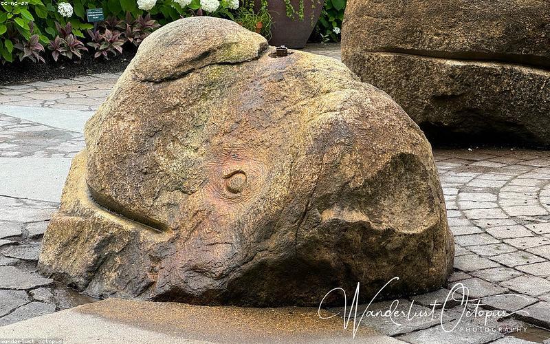 Thiết kế vườn đứng trong nhà phố