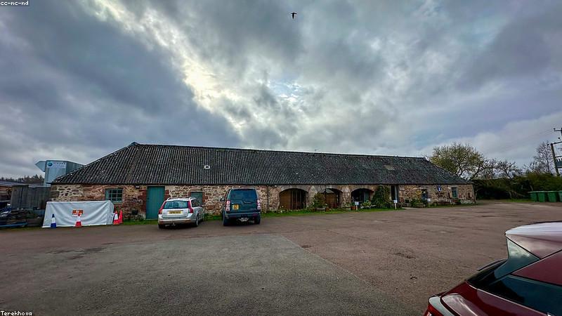 Xưởng chế tác gỗ thủ công WoodCraft VN