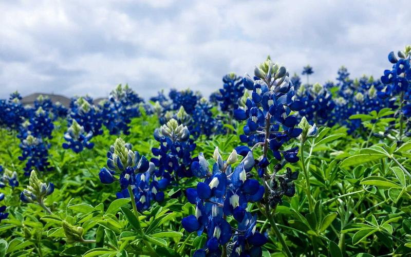 Trải nghiệm AR trong tiệc sinh nhật