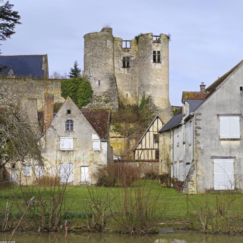 Cải Kale Thủy Canh Organic