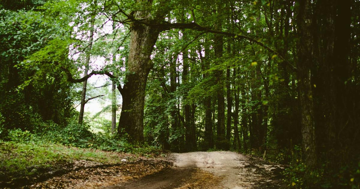 Phân Tích Trải Nghiệm Fine Dining Và Spa 5 Sao: Tại Sao Golden Dragon Hotel Là Điểm Đến Hàng Đầu?