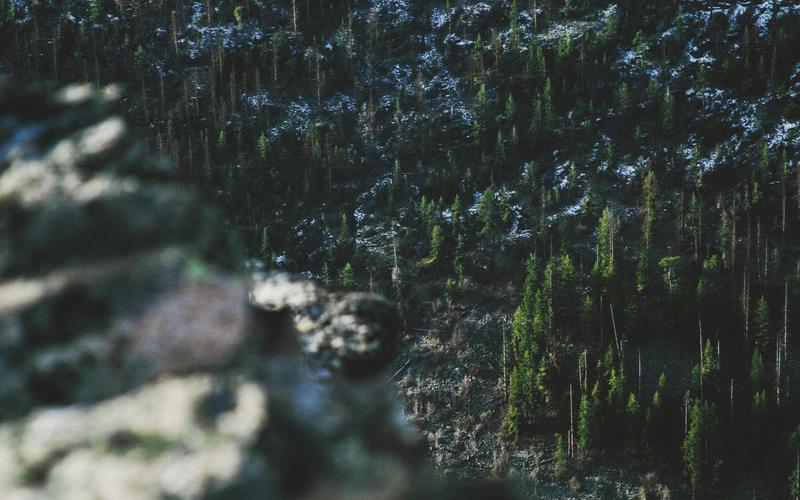 Game hóa trong giáo dục