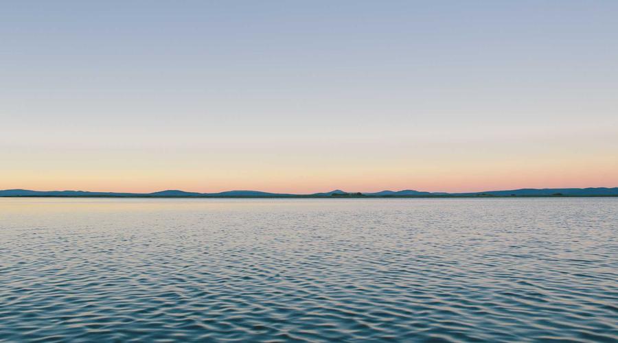 Hiệu năng máy chủ GPU