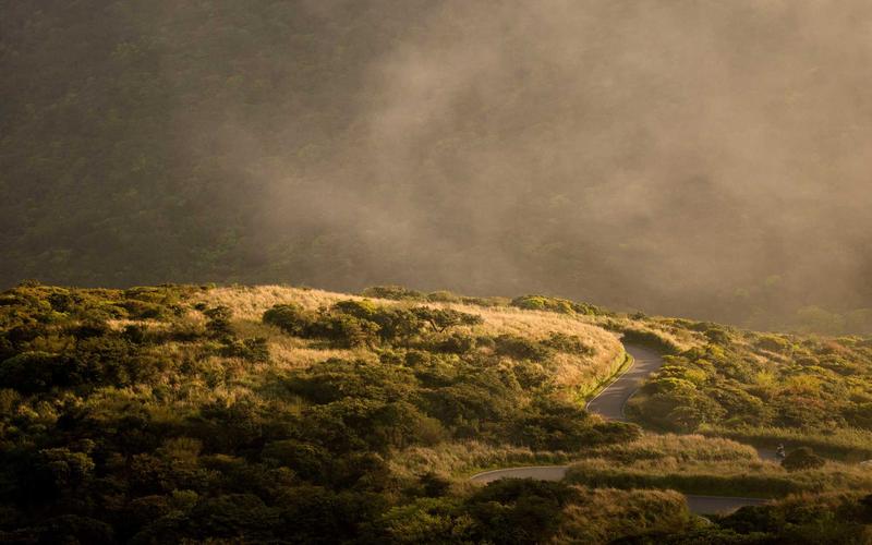 Biểu đồ phân tích mùi hương đa giác quan