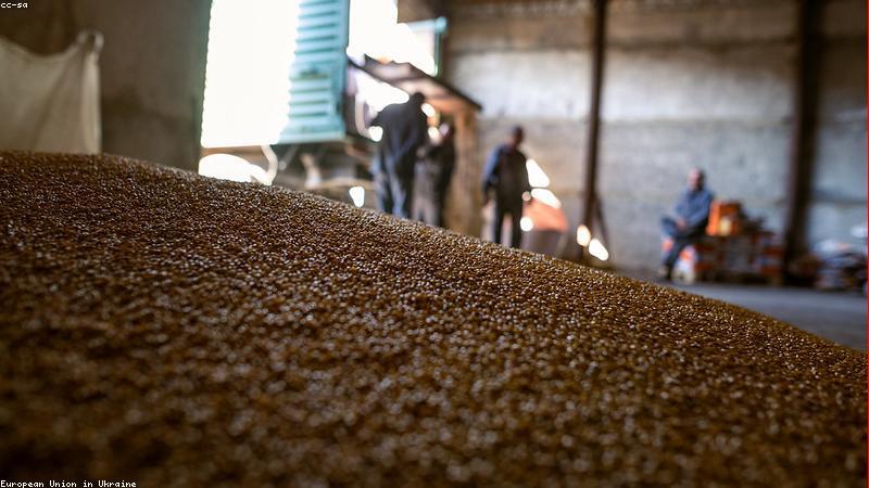 Hạt lúa mì và bột mì