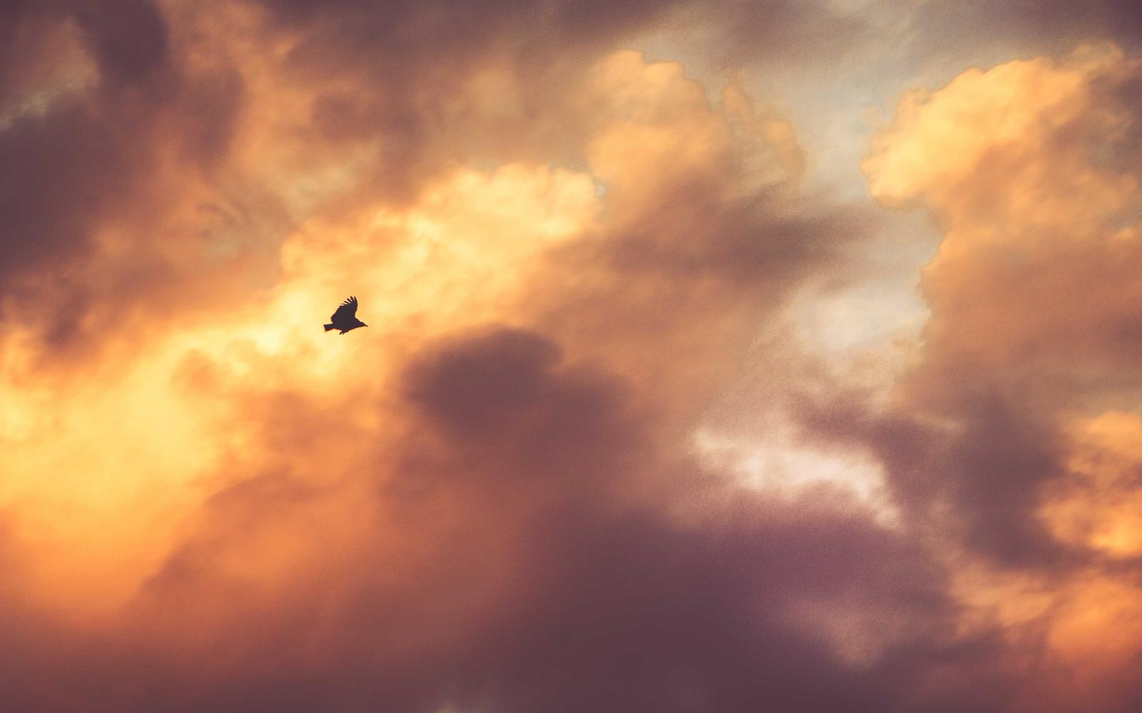 3D Knitting Machine Precision