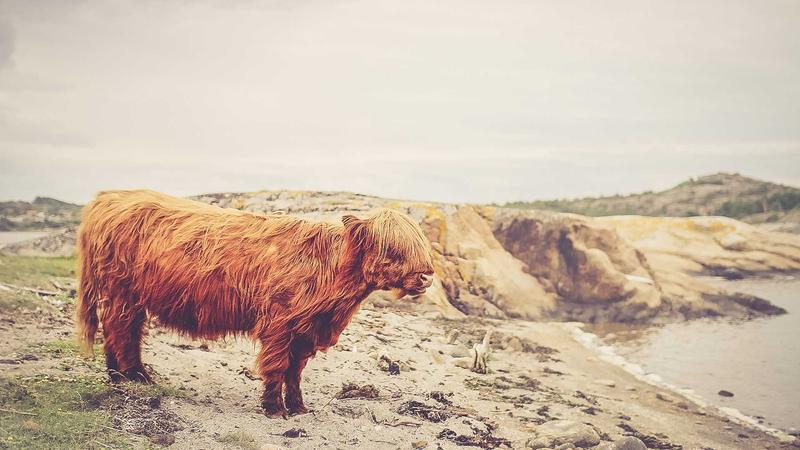 Augmented Reality Crisis Management