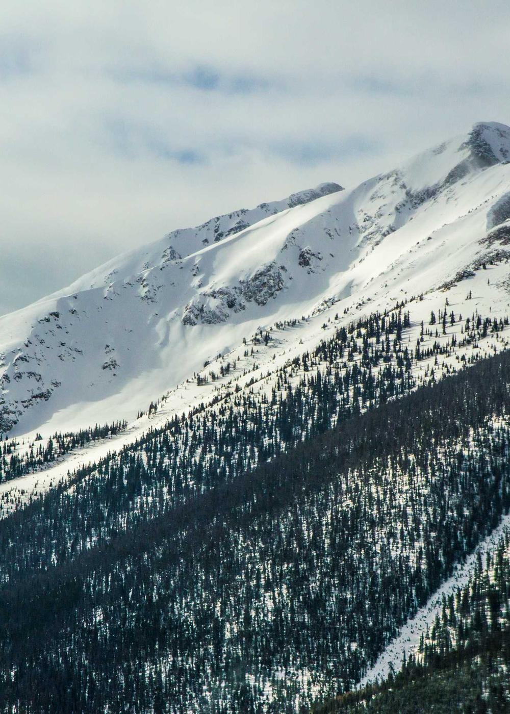 Meeting with clients