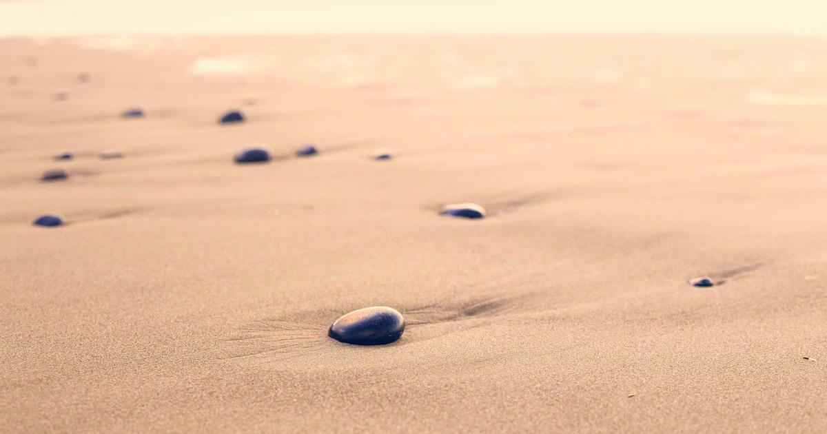 Hướng Dẫn Chọn Cuộn Film Và Cách Kiểm Soát Ánh Sáng Cho Người Mới Bắt Đầu