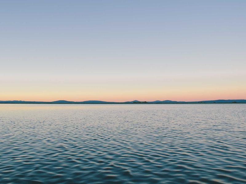 Cắm hoa Ikebana xu hướng 2026