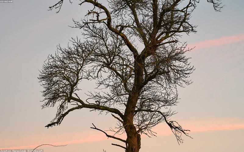 Morning at MountainView