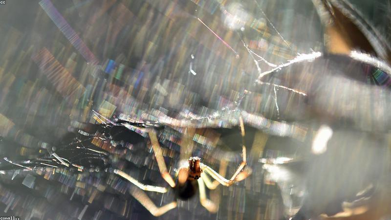 BrandBoost AI Technology Concept