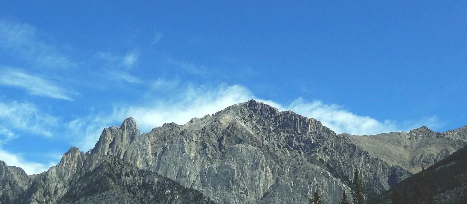 Wellness 2026 Editorial