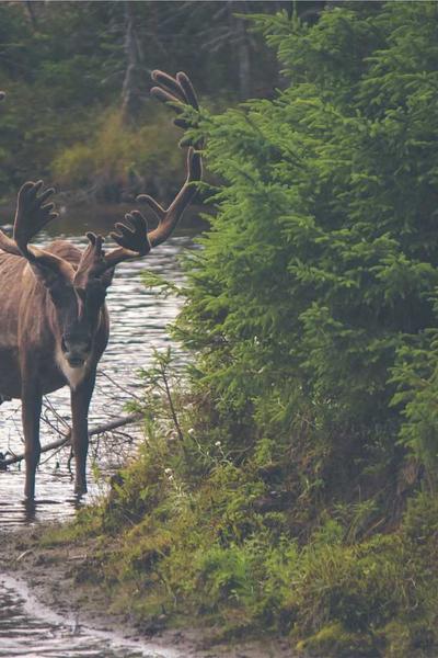 Fashion Guide 2026 2