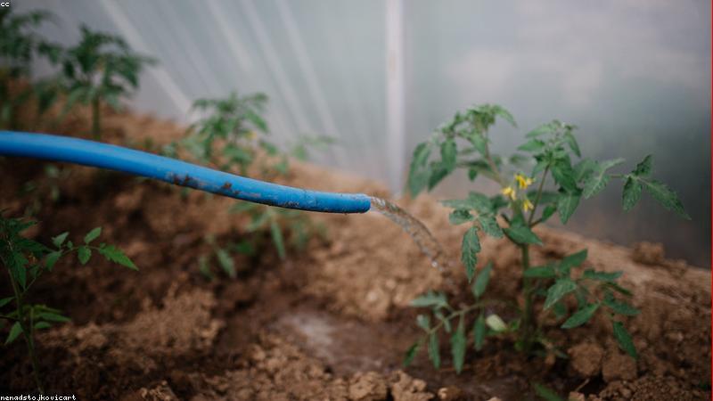 Kỹ thuật trộn và kiểm tra độ ẩm phân ủ