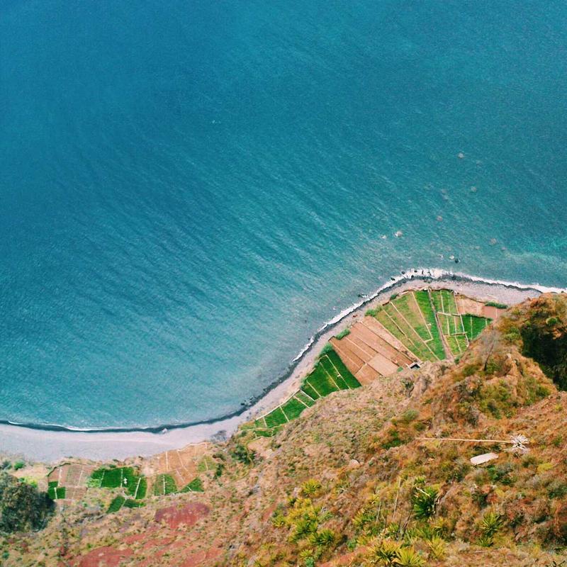 Thiên Nhiên Phục Hưng 2026 - Bản In Limited