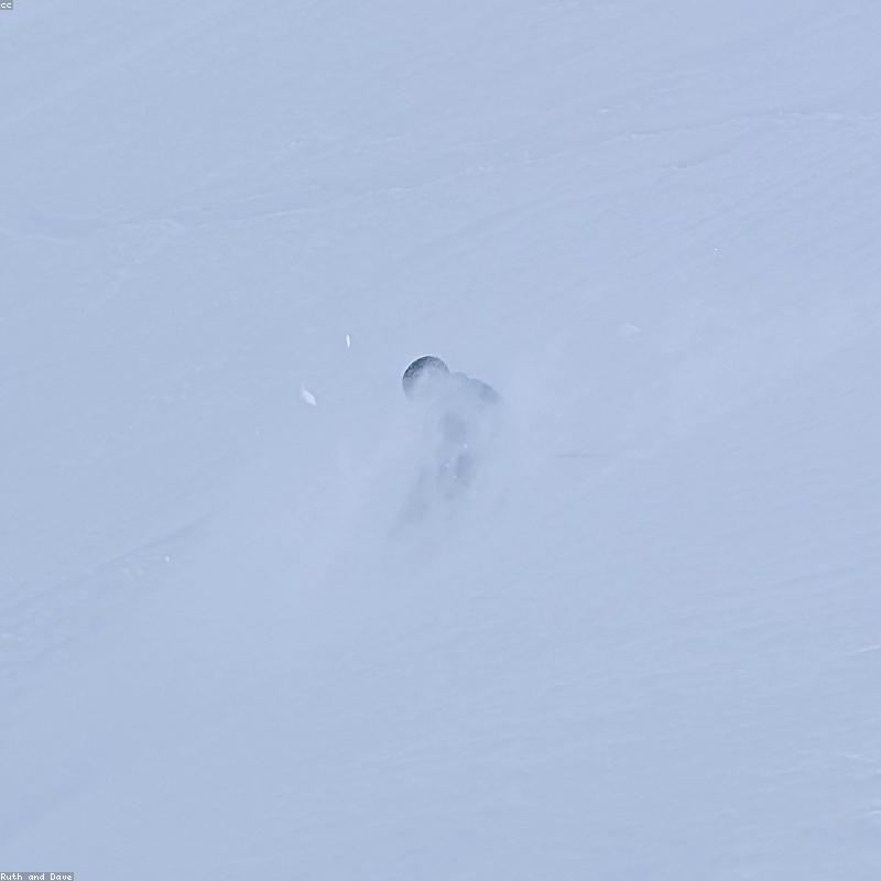 Matcha Culinary Cao Cấp Cho Pha Chế