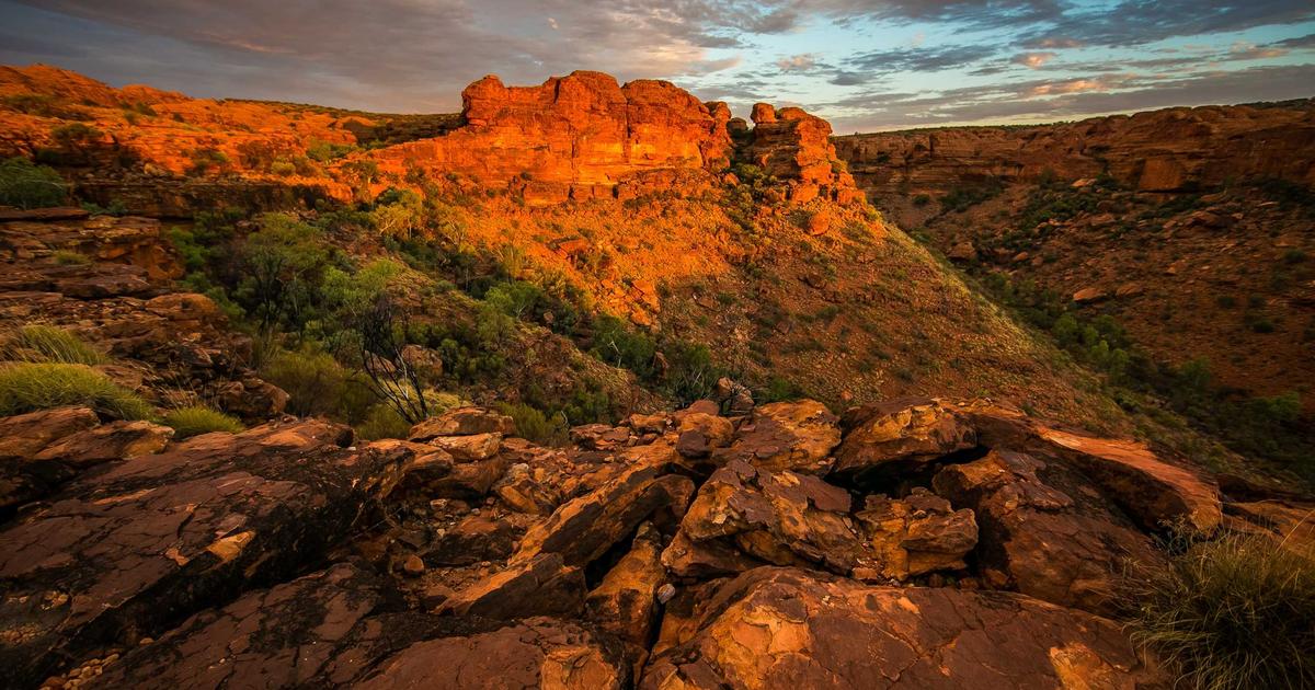 Xu hướng thiết kế website AI 2024: Cách BrandBoost định hình tương lai số