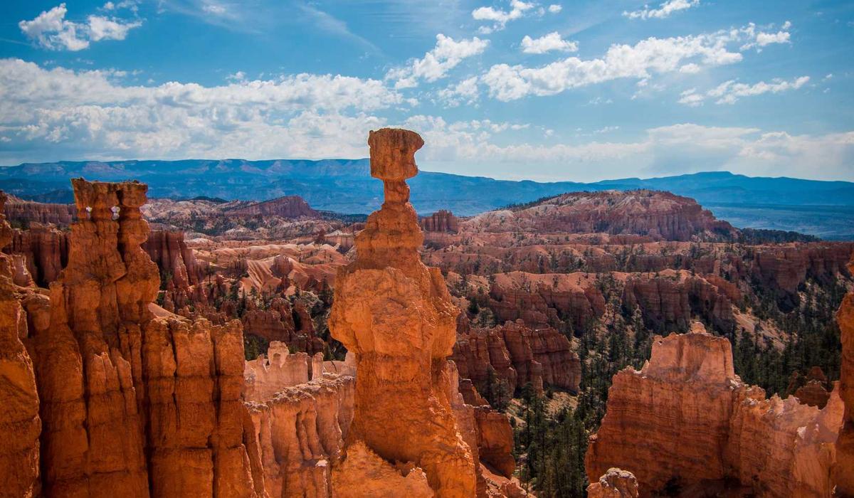 Nội thất buồng kén xoay