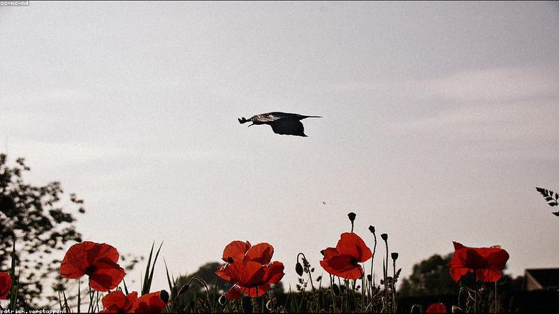 Sự đối lập giữa vẻ ngoài và nội tâm