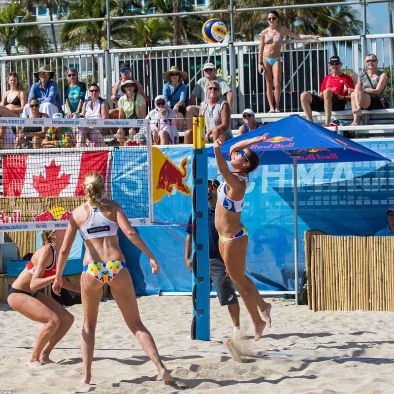 Bộ Đồ Thun Cotton Hình Thú Năng Động