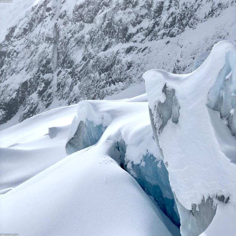 Bột Matcha Uji Ceremonial Grade