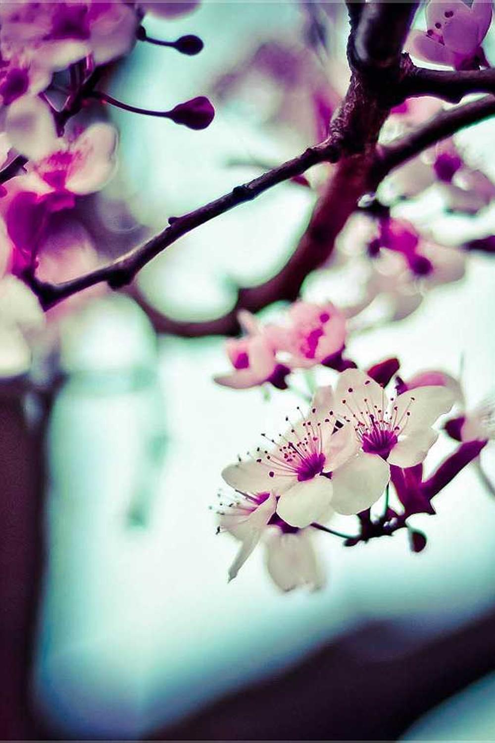 Sustainability colors