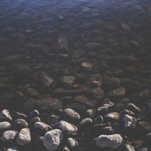 Kỹ thuật vắt sữa chuyên nghiệp