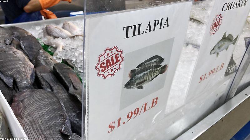 Đối chiếu thông tin khoa học