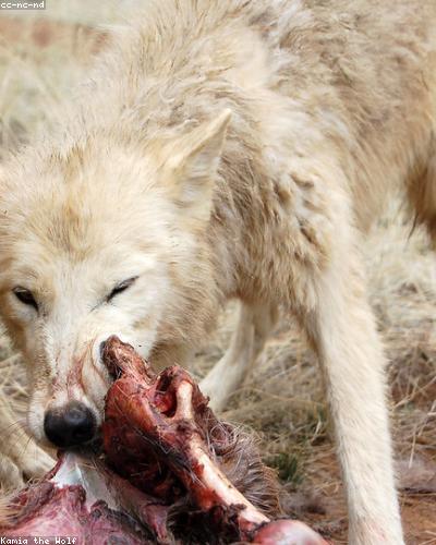 Muôn Kiếp Nhân Sinh 1