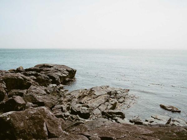 Kỹ thuật may đo 2026