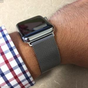 Milanese Loop
