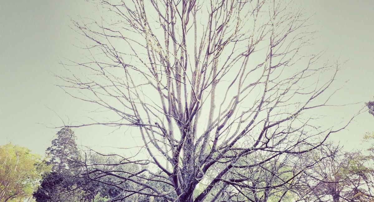 Tính năng sạc thông minh và chống va đập