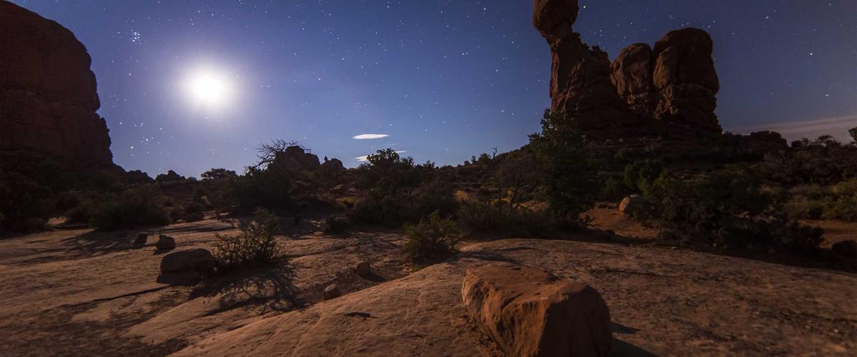 Cánh đồng hoa bia bền vững