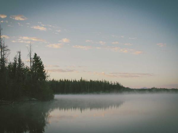 SmartFlow 2026 Technology