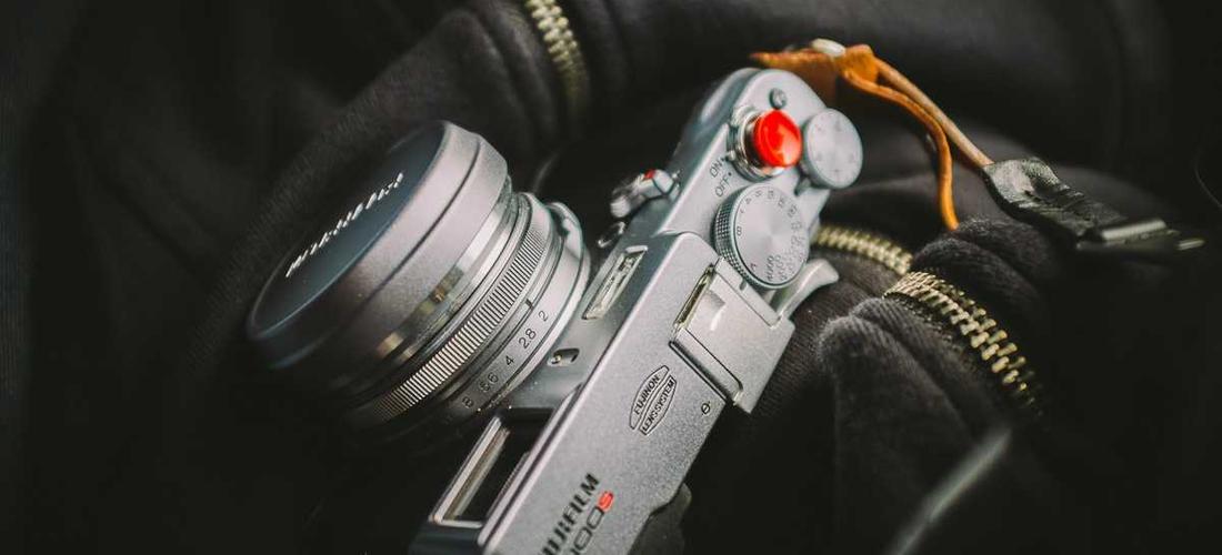 Không gian sống xanh 2026 với tảo