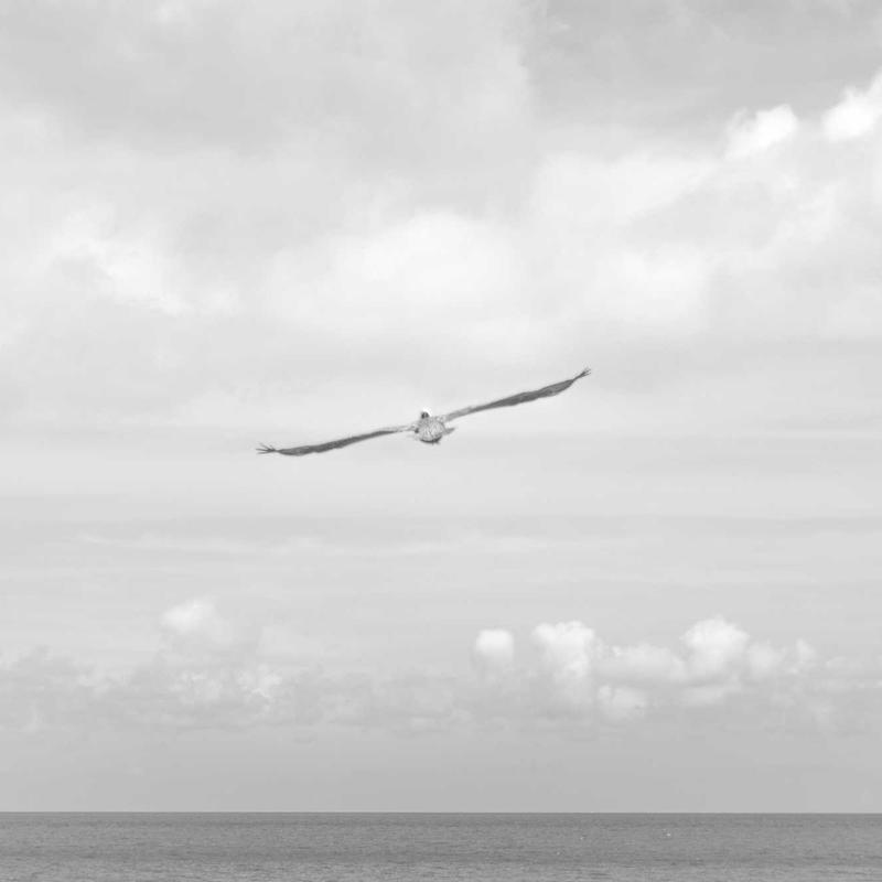 Túi Xách Da Cầm Tay Cao Cấp 1