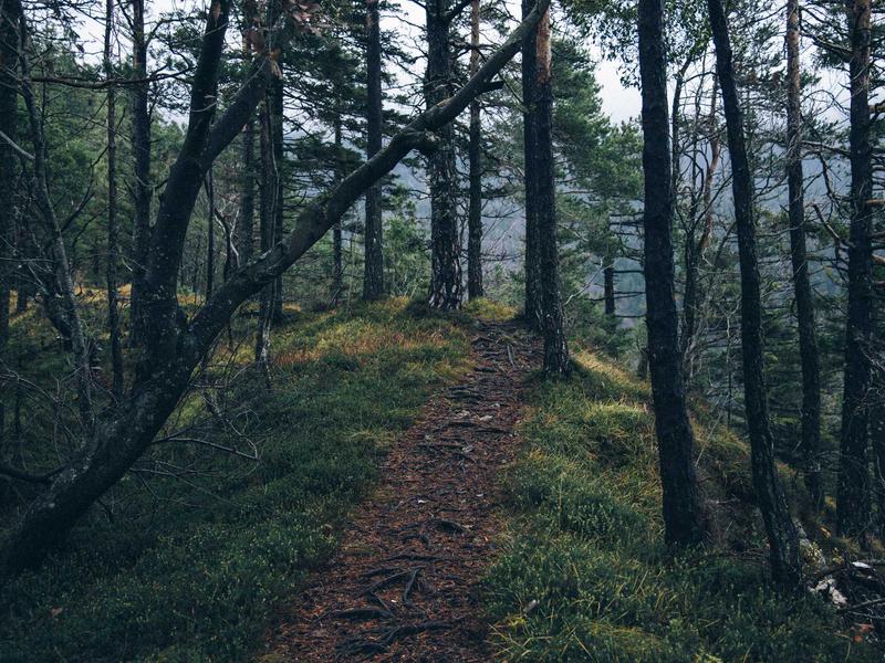 Nghỉ dưỡng 2026