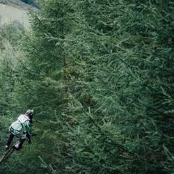 Phụ kiện cigar 2026