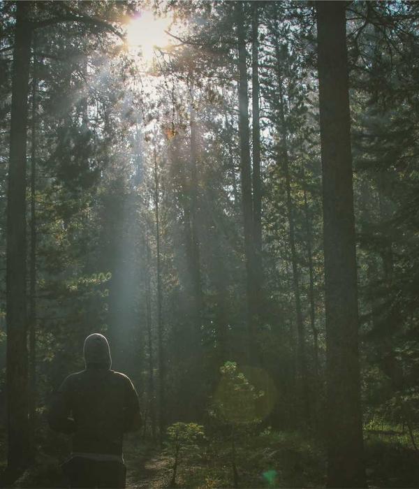 Thắt lưng da chay