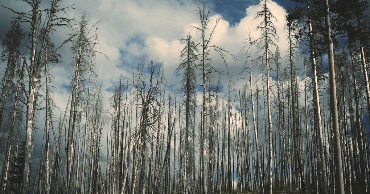 Case Study: Chiến lược xây dựng kênh Youtube 500K Subscribers của Trần Quốc Nam